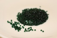 1800St. Rocailles Perlen