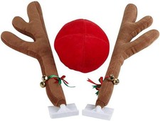 Auto Rentierkostüm