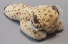 SELTEN !!!!   Steiff Floppy