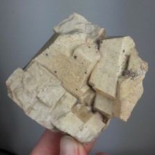 Orthoklas - Źółkiewka (Pilgramshain) bei Striegau, Polen NST