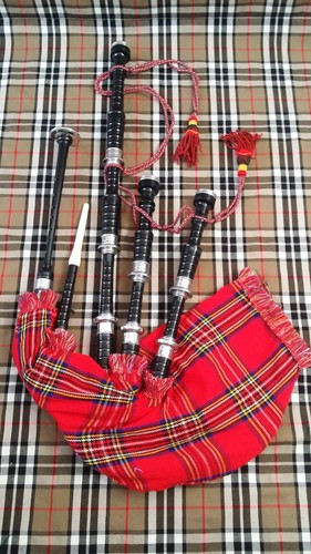 Scottish great highland - great,