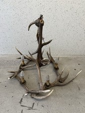 Geweihlampe aus Natürlichem Geweih | Fünfflammig