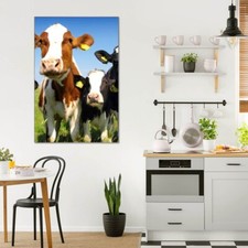 banjado Glas Bild als Wandbild