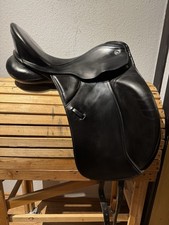 Kieffer Kür Excellent