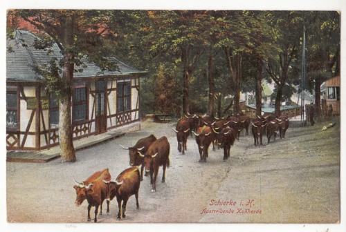 Schierke harz - ak,