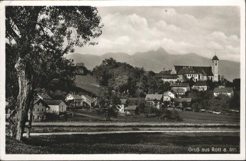 Rott inn - rott,