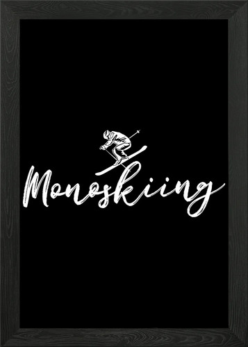 Monoski funny mono ski - monoski,