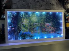 Starter Venusaur Bulbasaur