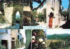 Le Castellet Var Motive Ortszentrum Rosenbluete Panorama