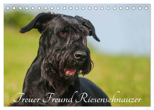 Sigrid starick treuer freund - |,