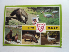 AK Halle Zoo Ameisenbär Robbe Flamingo Flußpferd Pelikan Tierpark 1986 Spende