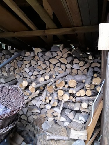 Kaminholz trocken abgelagert