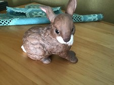 Großer  Goebel  Hase