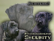Schnauzer RIESENSCHNAUZER