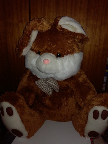 Hase osterhase pluschtier - hase,