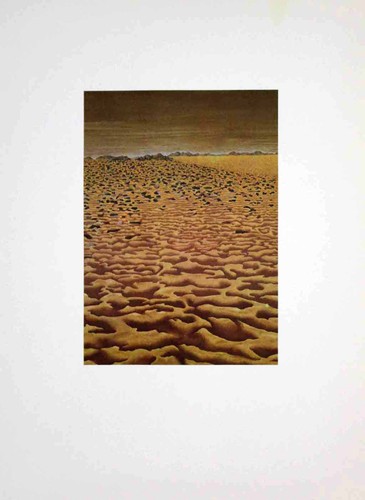 Verena vernunft landschaft - verena, vernunft: