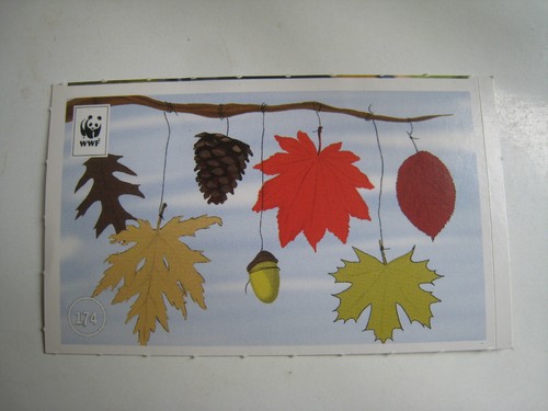 Sammelsticker unser wald - sammelsticker, "unser