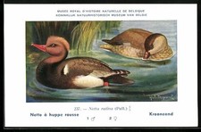 Künstler-AK Hubert Dupond