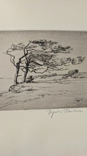 Ingwer Paulsen. Ohne Titel
