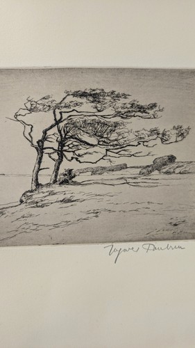 Ingwer paulsen ohne - ingwer,