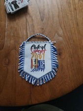 Wimpel/Banner DFB Pokal Sieger