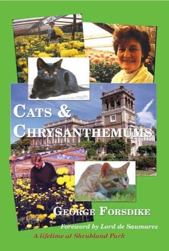 Cats and chrysanthemums george - cats, chrysanthemums,george