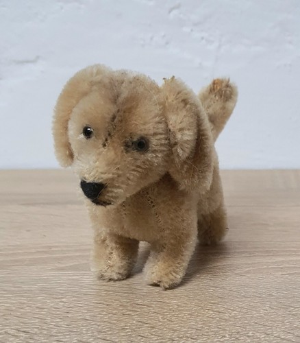 Steiff hund top zustand - steiff,