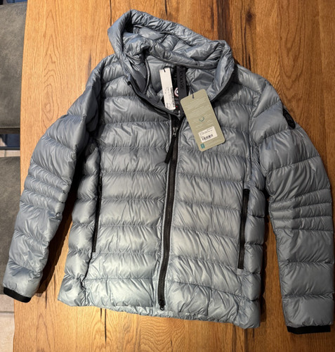Canada goose crofton - goose,