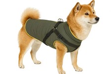 Nobby Hundemantel Sobak 2in1