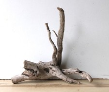 Treibholz Schwemmholz Driftwood  1 Wurzel Dekoration Terrarium 31 cm hoch