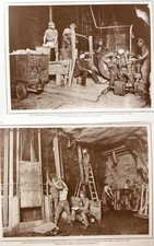 19 Negative von Fotos aus den