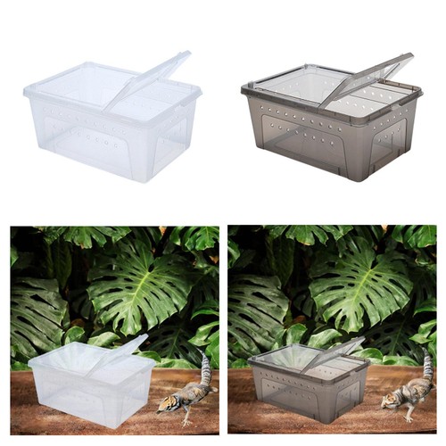 Reptilien fütterungsbox - reptilien, -fütterungsbox