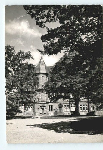 Barntrup - ,