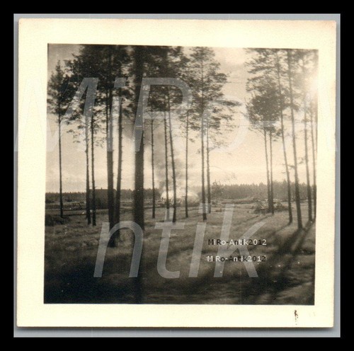 Foto wk2 268 i - foto,, 268.i.d