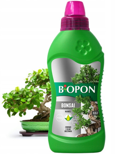 Dünger für bonsai - für, ficus
