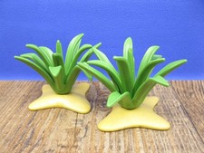 2x Agave Western Pflanzen