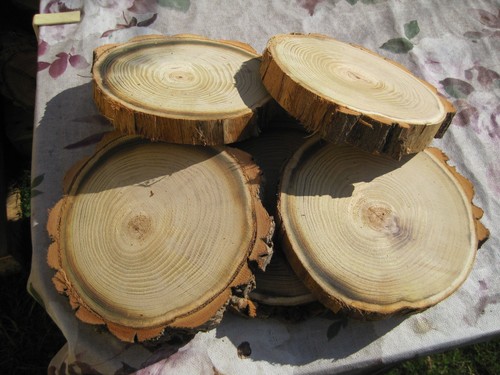 Holzscheiben astscheiben - 5,