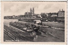AK Magdeburg Dom mit Elbe