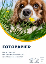190 Blatt Original HP Fotopapier glänzend  10x15 cm  240 g/m²