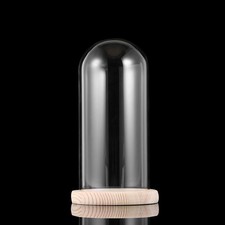 Glas Dome Blume Vase Glocke