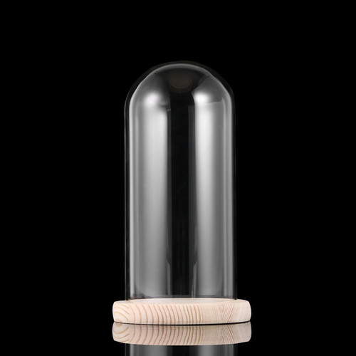 Glas dome blume vase glocke - blume,