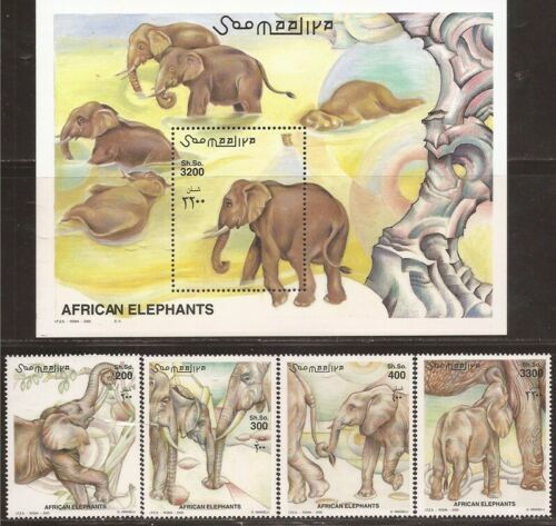 Somalia 2000 elefanten - /, /