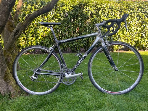 Giant tcr composite carbon - giant,