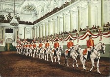 Reitsport Pferdesport Pferderennen Wien Spanische Hofreitschule Pferde