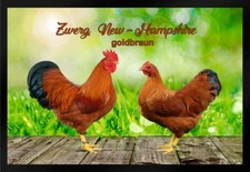 Fußmatte Fußmatte Hühner