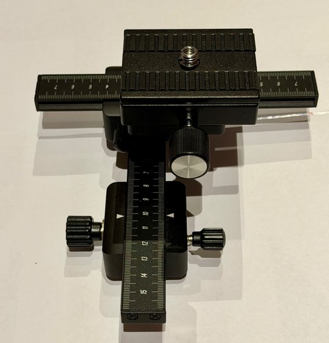 Kiwi makroschlitten mit - kiwi, 1