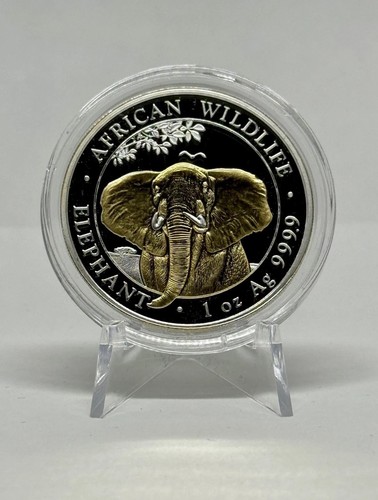 2021 silber african - african, wildlife