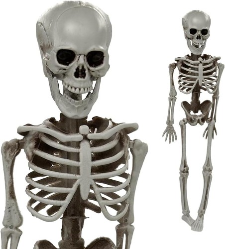 Skelett halloween lebensgroß - halloween,