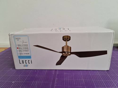 Lucci air 210526 beacon - air,