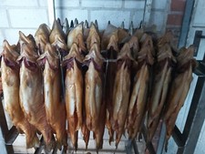 1kg Forelle Heilbutt